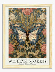 Morris Botanical Butterfly Art Print - Oak