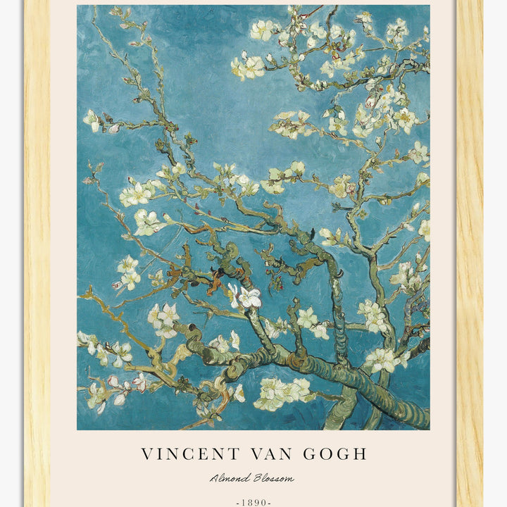 Blossoms Art Prints