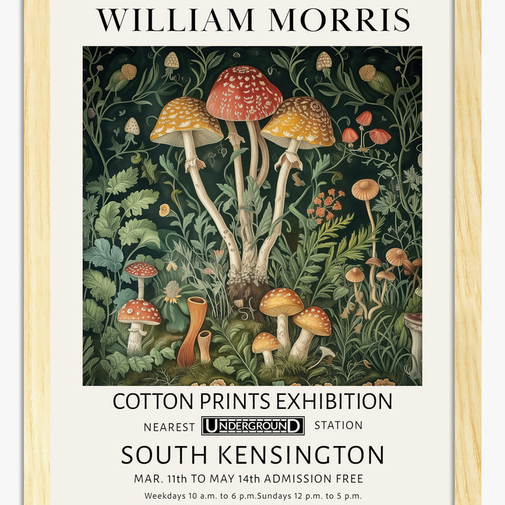 Mushrooms Art Prints