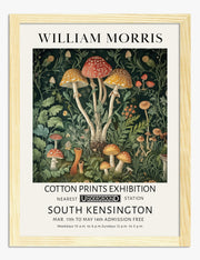 Mushrooms Art Prints