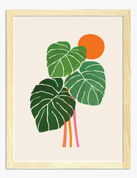 Sunlit Monstera Moment Art Print - Oak