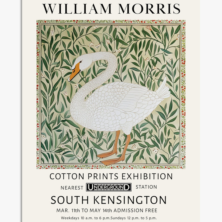 Swan Art Prints