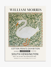 Swan Art Prints