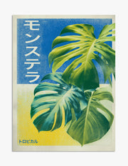 Monstera Art Prints