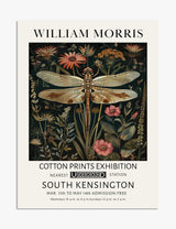Insects Art Prints