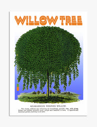 Kilmarnock Weeping Willow Art Print - Unframed