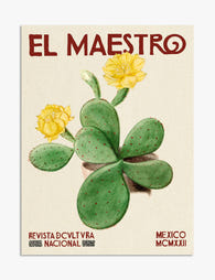 Yellow Cactus Bloom Art Print - Unframed