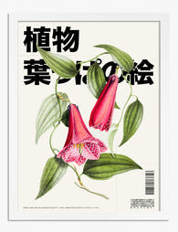 Vibrant Bellflower Blooms Art Print White