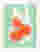 Citrus Glow in Bag Art Print - White