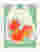 Citrus Glow Still Life Art Print - White