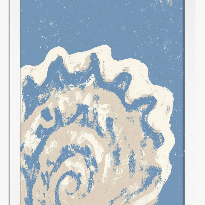 Affiches coquillages