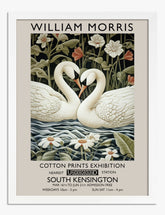 Enchanting Swans by Morris Art Print - White