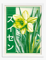 Retro Japanese Daffodil Art Print - White