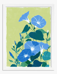 Blue Morning Glory Bloom Art Print - White