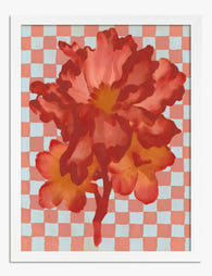Blush Bloom on Checkered Art Print White