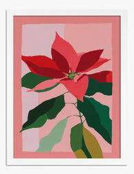 Bold Poinsettia Bloom Art Print - White