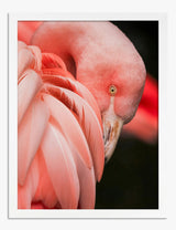 Tropical Art Prints