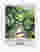 Lush Kew Gardens Art Print - White