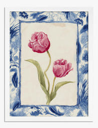 Blushing Tulip Pair Art Print White