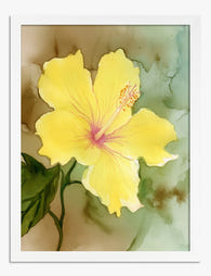 Sunshine Hibiscus Bloom Art Print - White