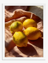 Sunlit Lemons Still Life Art Print - White