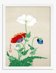 Japanese Poppies by Sakai Doitsu Art Print White