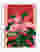 Pink Poinsettia Glow Art Print - White