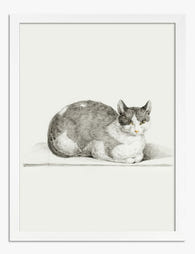 Cozy Cat by Jean Bernard Art Print - White