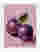 Mosaic Plum Disco Duo Art Print - White