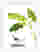 Cat Under Banana Leaves Art Print - White
