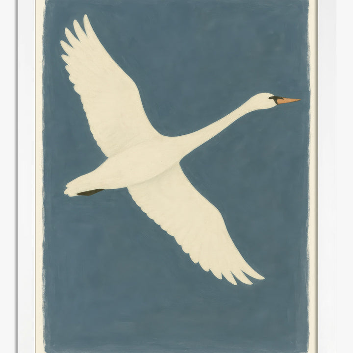 Swan Art Prints