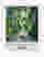 Kew Gardens Escape Art Print - White