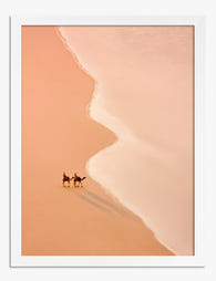 Tranquil Camel Coastline Art Print White