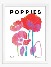 Bold Poppies Botanical Art Print - White