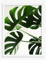 Photorealism Art Prints