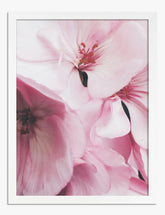 Blush Petal Daydream Art Print - White