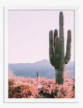 Blush Desert Serenity Art Print - White