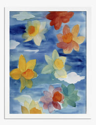 Floating Daffodil Blooms Art Print - White