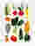 Playful Veggie Parade Art Print - White
