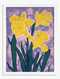 Sunny Daffodil Trio Art Print White