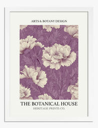 Purple Peony Botanical Art Print - White