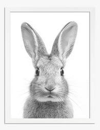Monochrome Rabbit Portrait Art Print White