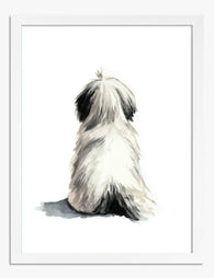 Shih Tzu From Behind Art Print White