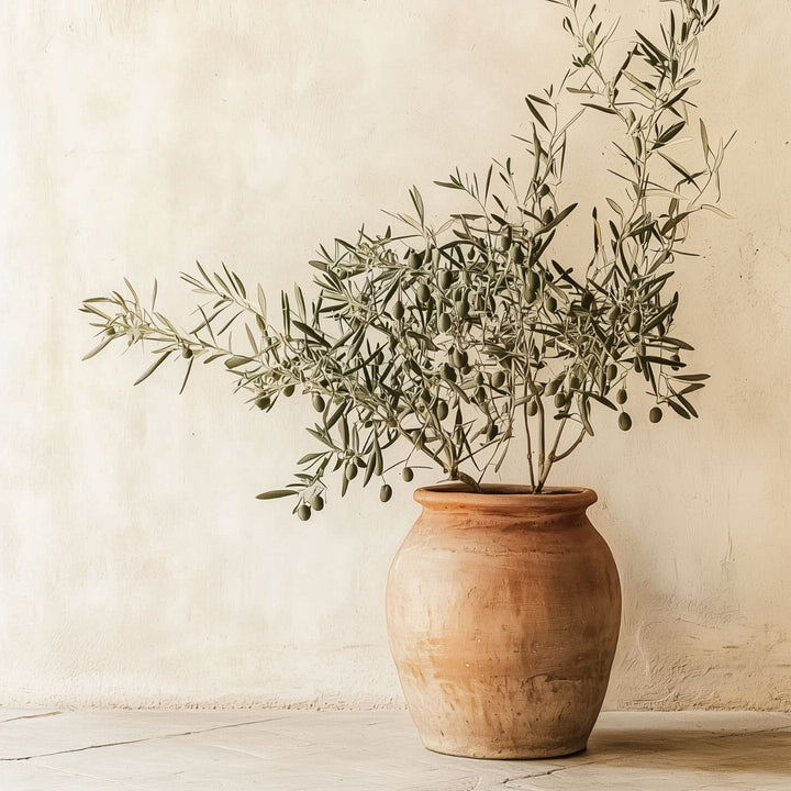 Rustic Art Prints
