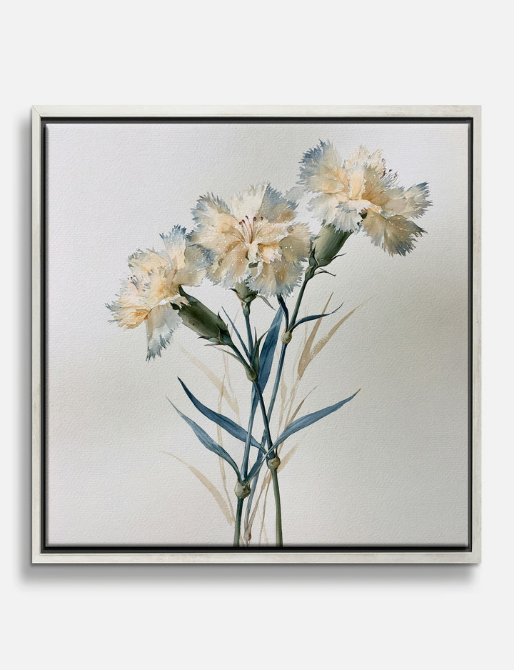 Cream Carnations Watercolour Study Canvas Print Silver