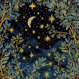 Stars & Space Art Prints