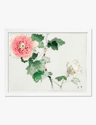 Peony Blossom by Bijutsu Sekai Art Print White