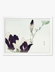Magnolia Serenity by Bijutsu Sekai Art Print White