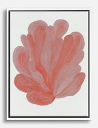 Coral Flow Canvas Print White