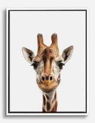 Playful Giraffe Portrait Canvas Print White